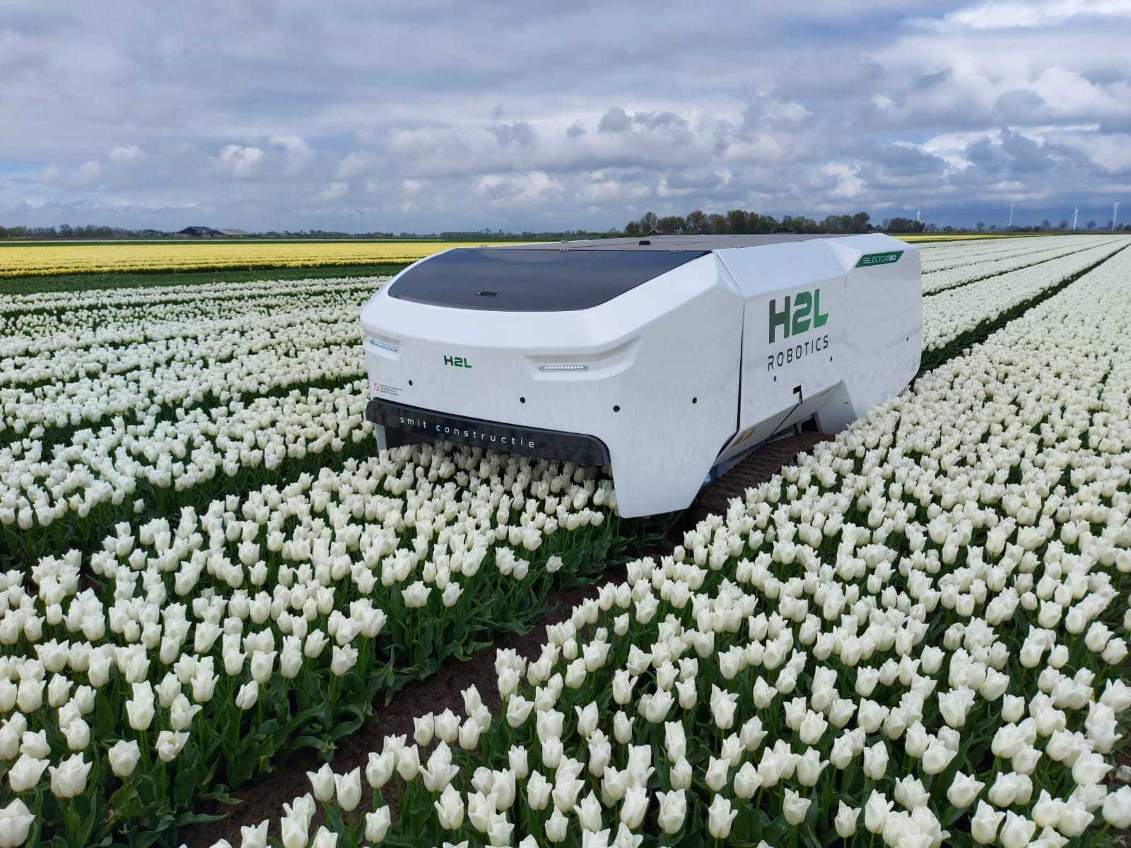 SELECTOR machines at scale