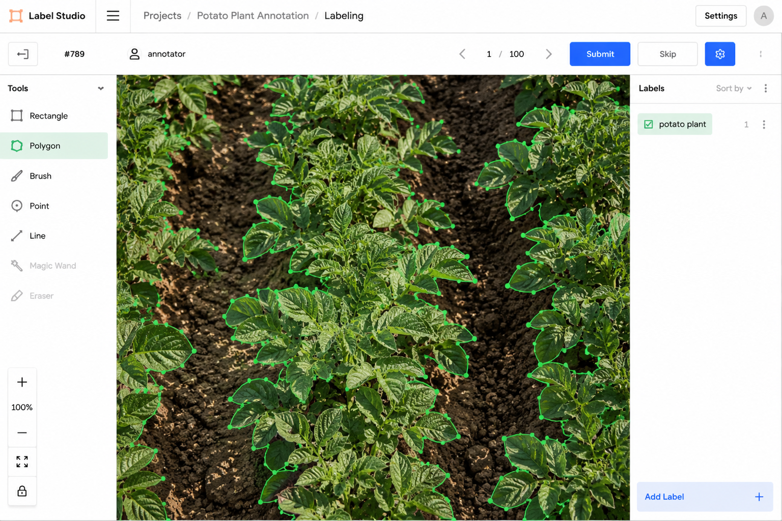 Polygon annotation on potato field imagery