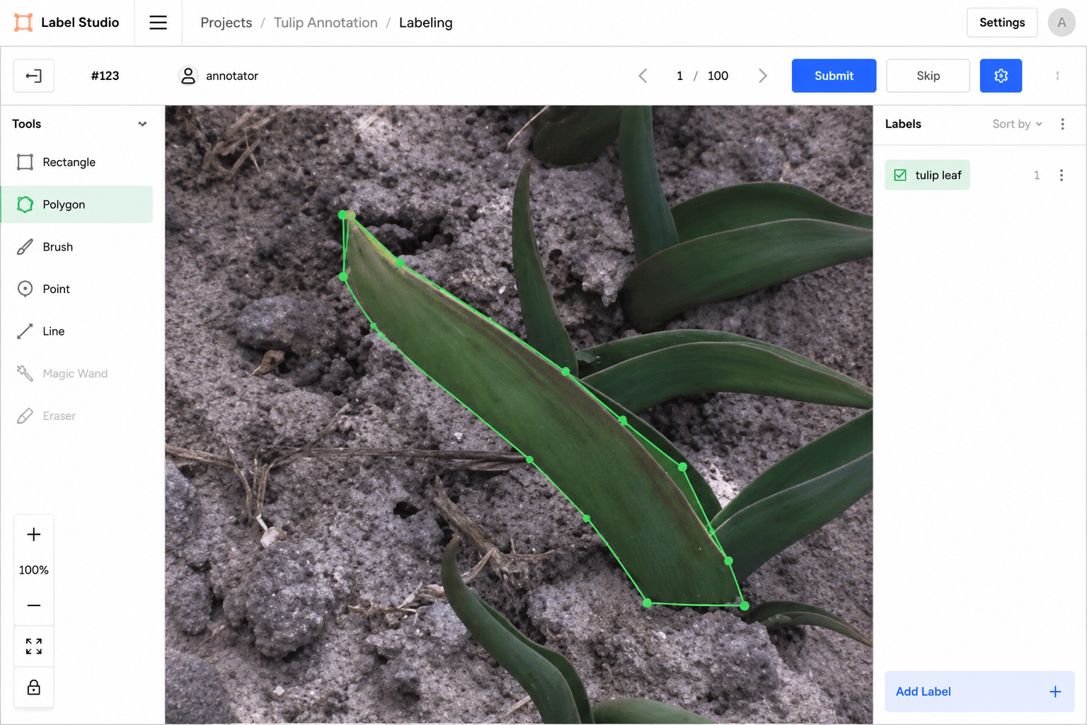 Polygon annotation on tulip field imagery