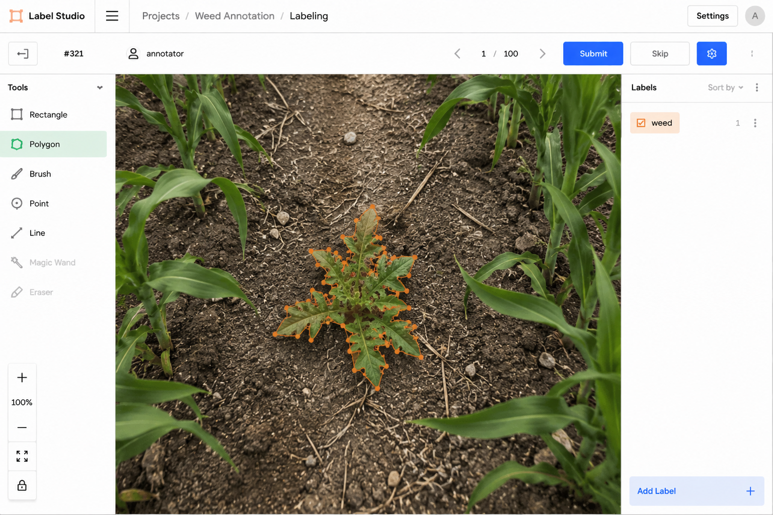 Polygon annotation on weed detection